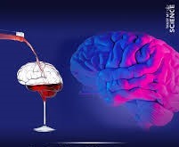 illustration de l'actualité