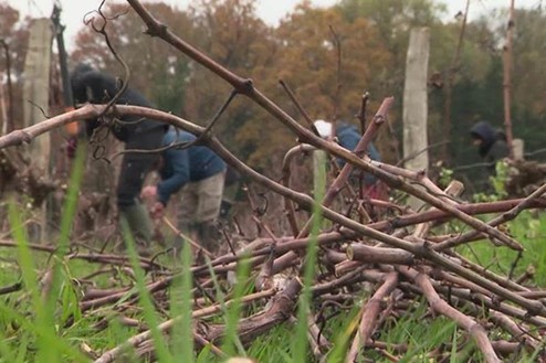 illustration de l'actualité