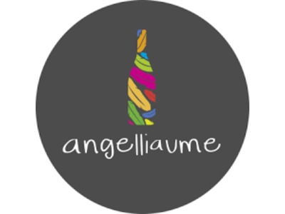 Illustration du partenaire Domaine Angelliaume - Chinon