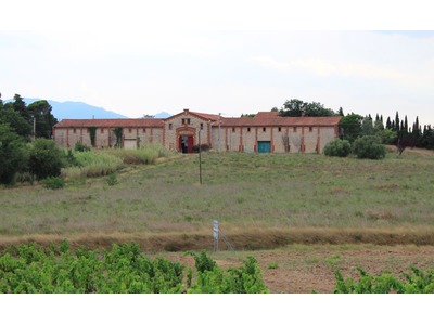 Illustration du partenaire Les Vins du Roussillon - Domaine du Château du Mas de Déu